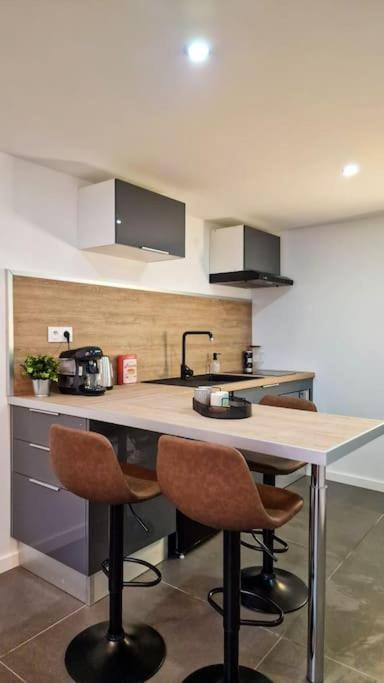 L'atelier C Magnifique Loft Avec Terrasse Privee Saint-Etienne (Loire)